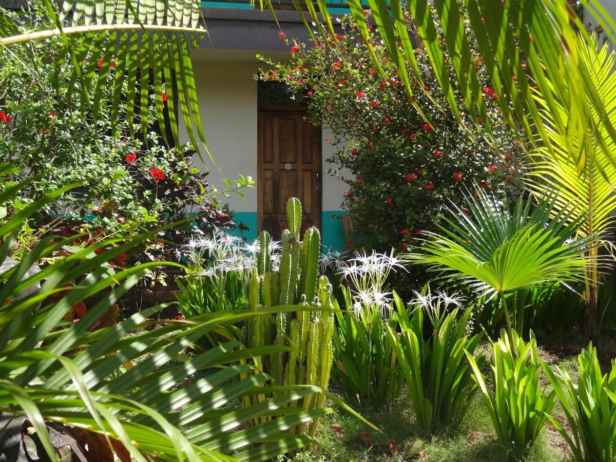 לאון Hostal Harvest House מראה חיצוני תמונה