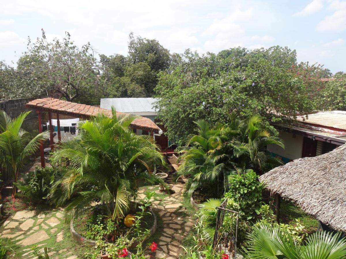 לאון Hostal Harvest House מראה חיצוני תמונה